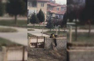 Küçük çocuğun köpek sevgisi görenlerin içini...