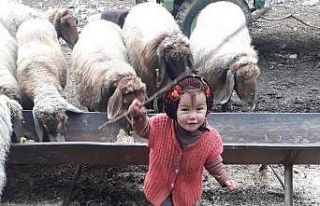 Küçük Müslüme’nin cenazesi Karaman’da defnedilecek