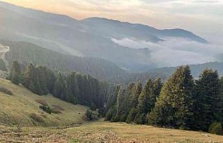 Kümbet Yaylası cezbediyor