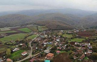 Kurtlar köye dadandı köylü korku içinde