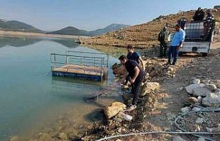 Kuruyan deredeki yavru balıklar kurtarıldı