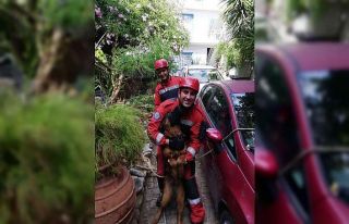 Kuyuya düşen köpeği itfaiye kurtardı