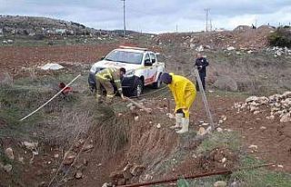 Kuyuya düşen koyunu itfaiye kurtardı
