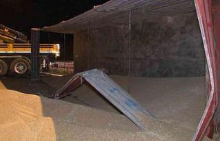 Kuzey Marmara Otoyolu’nda buğday yüklü tır devrildi:...