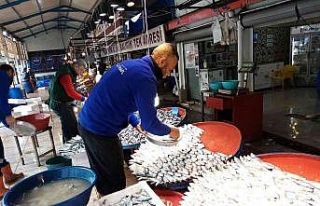 Lodos balık tezgahlarını süpürdü