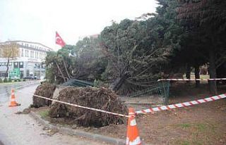 Lodos şehri birbirine kattı