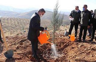 Malatya’da bir yılda 2 milyon 250 bin fidan toprakla...