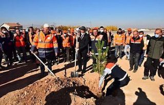 Malatya’da karayollarına ve kavşaklara fidan dikildi