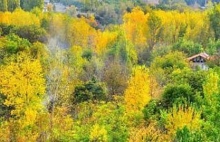 Malatya’da sonbahar ayrı güzel