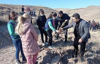 Malatya’nın ilçeleri de yeşilleniyor