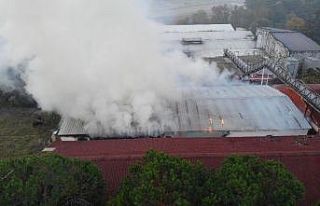 Maltepe’de 500 metrekarelik kağıt deposu alev...