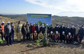 Manisa il genelinde 77 bin fidan toprakla buluştu