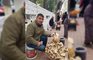 Mantar 50 liradan pazara indi