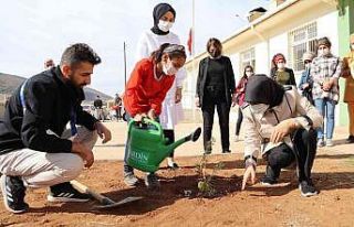 Mardin’de geleceğin teminatı öğrencilerle fidan...