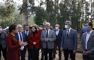 Marmaris’e Tıbbı Aromatik bitkiler koleksiyonu...