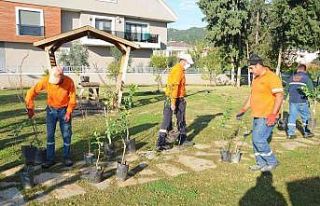 Marmaris’te örnek proje