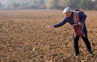 Menteşe’de 1 ton Karakılçık Buğdayı toprakla...