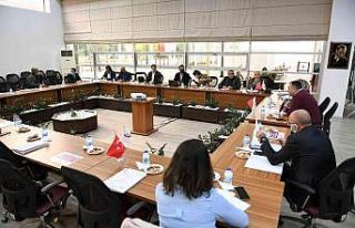 Mersin, “What To Mersin” portalı ile dünyaya...
