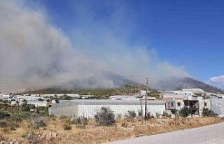 Mersin’de orman yangını