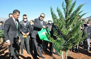 Mersin’de yanan ormanlık alanlar fidanla buluştu