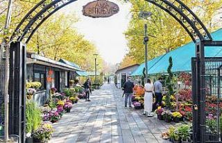 Meyve ağacı dikim mevsimi başladı: Anfa bitki...