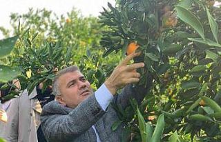 Milletvekili Mustafa Canbey’den iki günde iki hasat