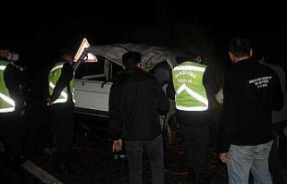 Minibüs sazlıkların içine devrildi: 2 yaralı