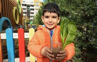 Minik çocuklar fide ve tohumları toprakla buluşturdu