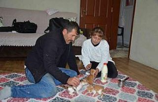 Minik Umrenur, annelerini kaybeden kedi yavrularına...