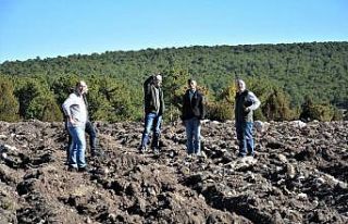 Müdür Kayıran: “Kütahya’da 48 bin 450 adet...