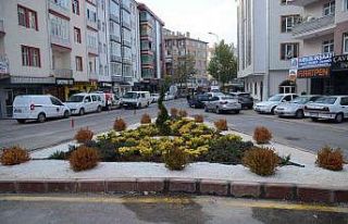 Müftülük caddesi peyzaj çalışması tamamlandı