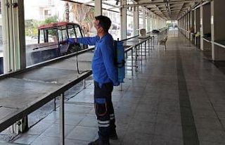 Muğla Büyükşehir Belediyesi karasinekle mücadele...