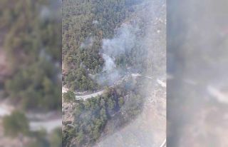 Muğla’daki orman yangını kontrol altına alındı