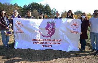 Muğlalı Safran üreticilerine Safranbolu gezisi