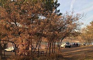 Musaözü’nde eşsiz sonbahar manzaraları