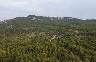 Müslüme’nin cansız bedeni bu tepede bulundu