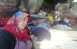 Müslüme’nin dedesi ve anneannesi serbest bırakıldı,...