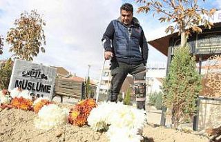 Müslüme’nin ölümüne üzülüp mezarına fidan...