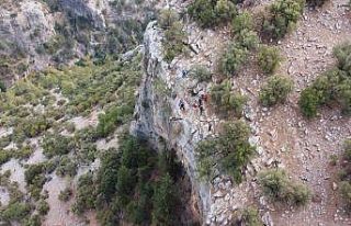 Müslüme’yi bulmak için ekipler, her yolu deniyor