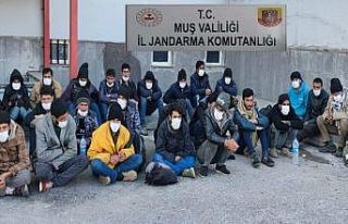 Muş’ta 97 düzensiz göçmen yakalandı