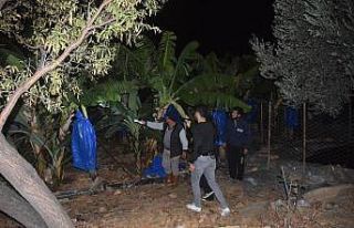 Muz hırsızı evinde çaldığı ürünlerle yakalandı