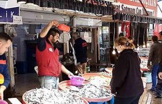 Nakliye ücretleri hamsi fiyatını 3 kat arttırıyor