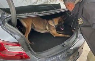 Narkotik köpeği ‘Bella’ tespit etti, polisler...