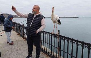 O leylek meşhur oldu, gören cep telefonuna sarılıyor