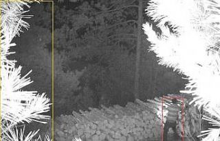 Odun hırsızlığı foto kapana yakalandı