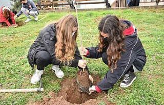Öğretmenler anısına hatıra ormanı oluşturuldu