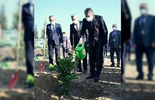 ‘Öğretmenler Günü Hatıra Ormanı’na 50 fidan...