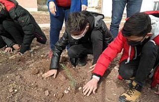 Öğretmenlerine bir çiçek yerine çiçek bahçesi...