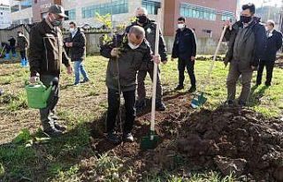 Ordu’da 116 bin fidan toprakla buluştu