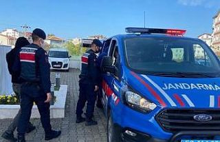 Ordu’da fındık hırsızları 2,5 ay sonra yakalandı